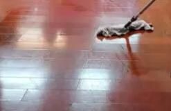 辦公區(qū)域保潔要注意哪些方面呢？