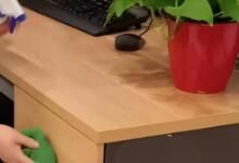 辦公區(qū)域保潔要做哪些呢？