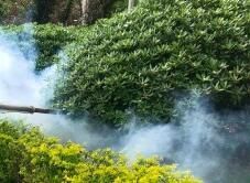 四害消殺完成后，需要做哪些鞏固工作呢？